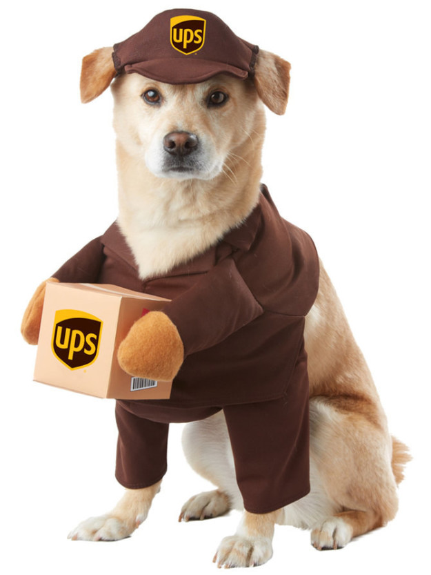 UPS Costume for Pets, $16.90
