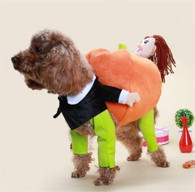 Carry Pumpkin on Back Costume, $14.25