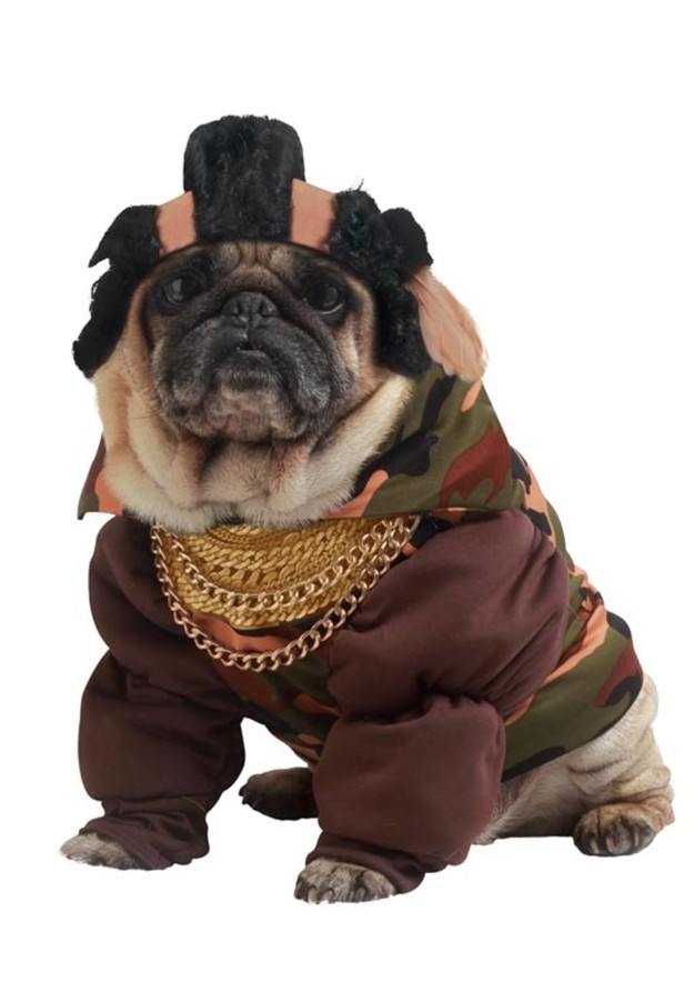 Pity the Fool Dog Costume, $34.99