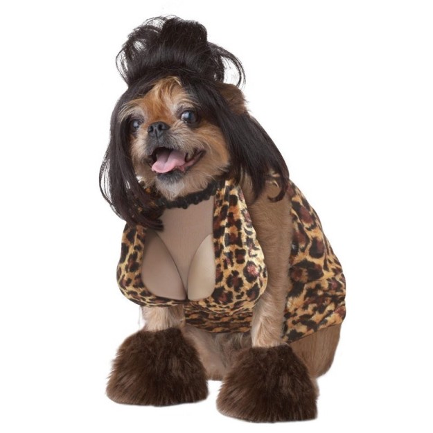 Snooki Jersey Shore Dog Costume, $39.99