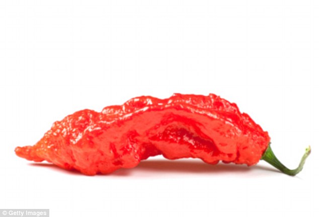 The 47-year-old American ate a burger smothered in a puree made of Bhut jolokia - luminous chillies that grow in India, also known as ghost peppers. He ended up with a feeding tube