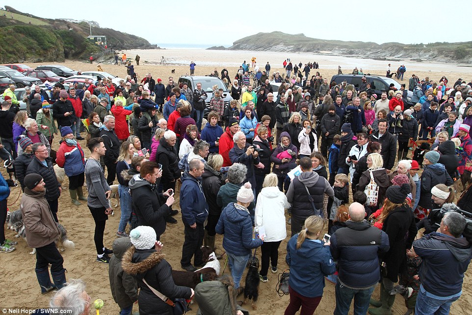 Hundreds of animal lovers joined Mark and his family on the beach to get a look at Walnut as he enjoyed his last day out