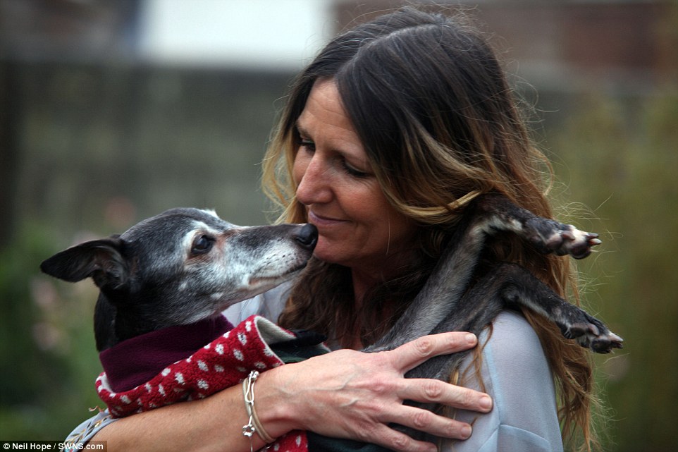 Mark Woods' wife Lisa holds on to the 18-year-old whippet Walnut, who has been with Mark ever since he was a puppy