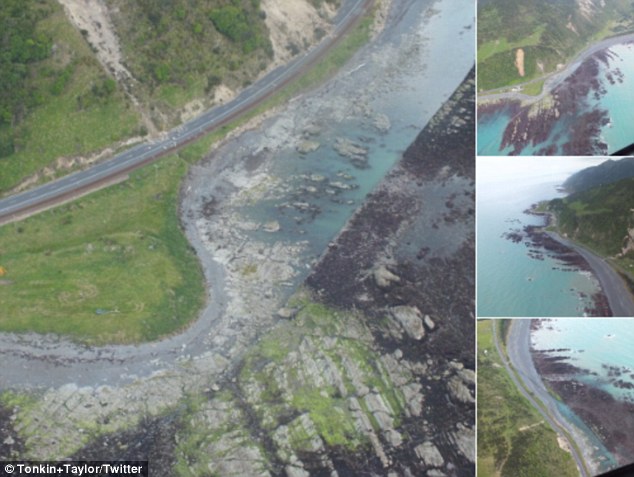 Aerial photos capture the devastating aftermath of the New Zealand coastline after it was hit by a 7.8 magnitude earthquake around midnight Sunday