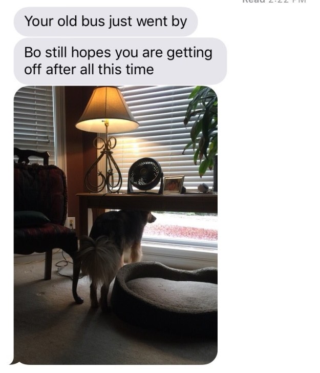 On Tuesday, Dunn's dad texted her a picture of Bo staring out the window at her old school bus, waiting to see if she was coming home "after all this time."