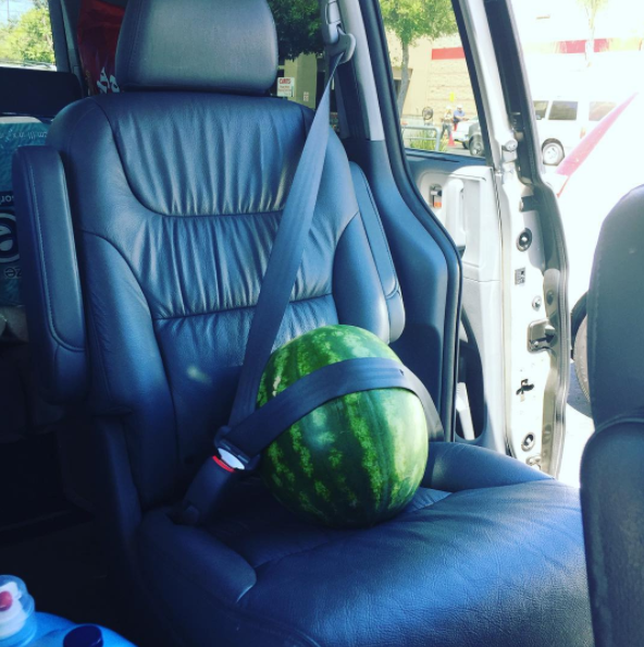 This mom who straps in her watermelon to keep it from rolling around in the car.