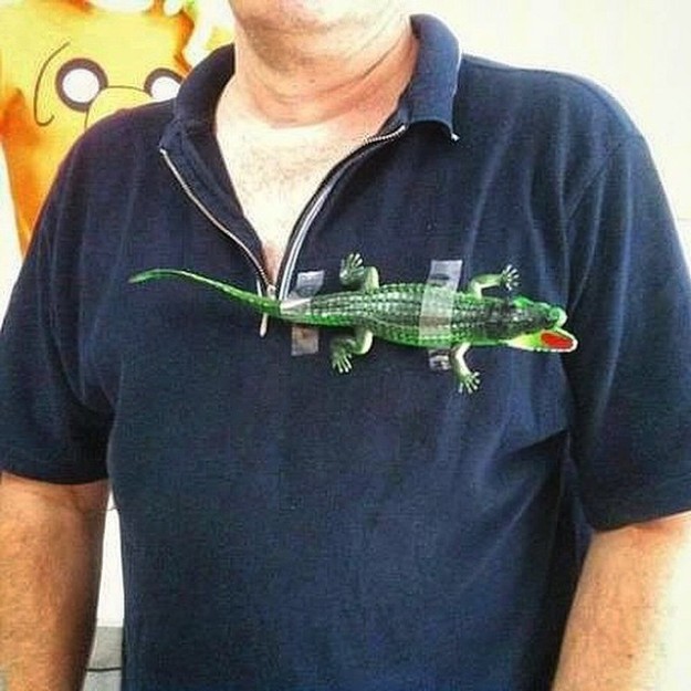 This Lacoste polo shirt: