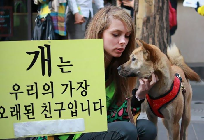 dog-meat-market-shut-down-south-korea-2