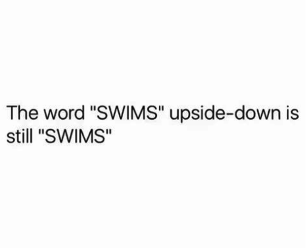 The word "swims" looks exactly the same upside-down.