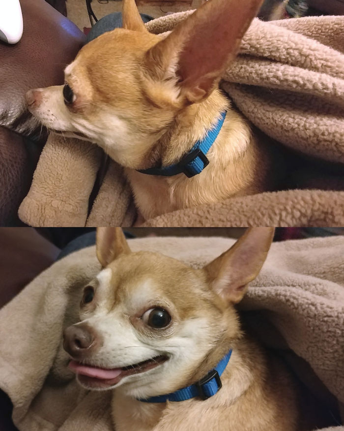 Before & After Being Called A Good Girl