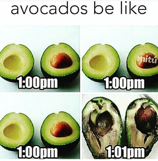 And avocados work like this: