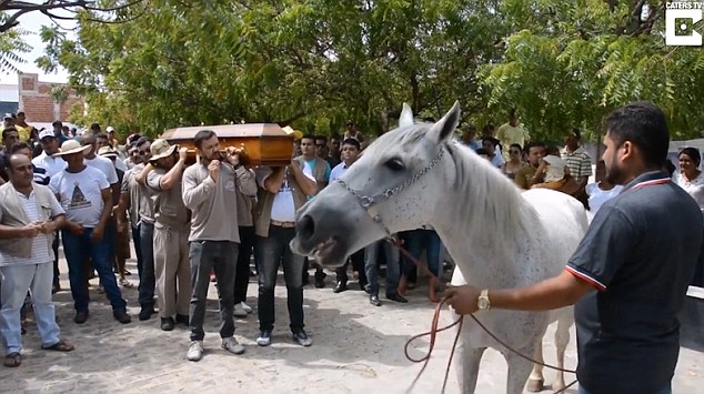 This is the heartbreaking moment a distressed horse appeared to cry at his owner's funeral