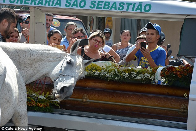 The two had a very close relationship, according to those who knew them. Thousands have been moved by the farewell from the horse and have shared the story online