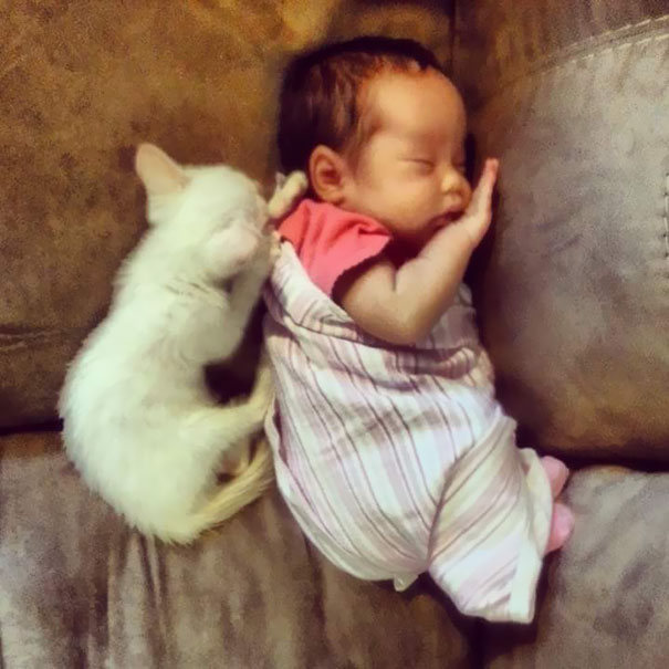 tiny-kitten-baby-girl-best-friends-3