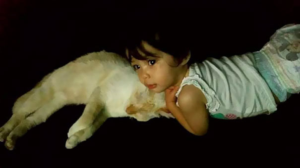 tiny-kitten-baby-girl-best-friends-8a