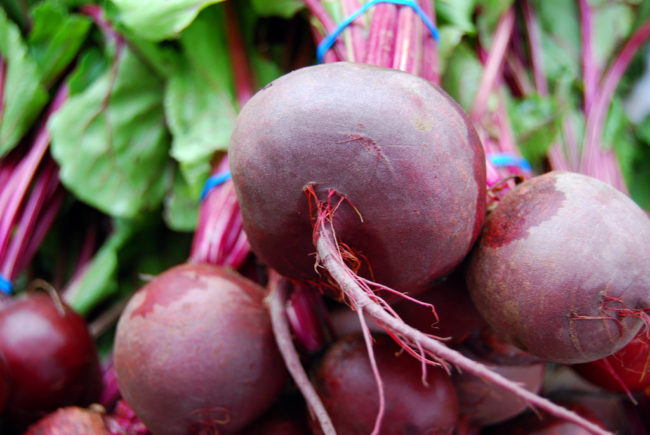 Beets are better fresh, and the high level of nitrates makes keeping them away from the microwave the safest bet. 