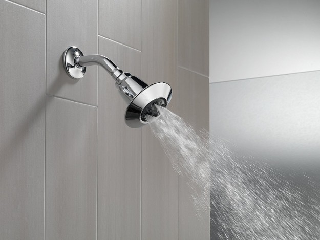 A water-efficient shower head to keep those bills down.