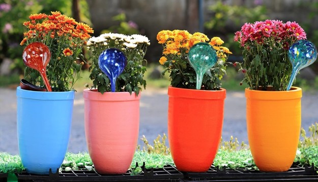 Handy water bulbs to gradually water your plants over time.