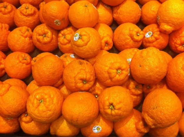 And these oranges that look like a literal butthole: