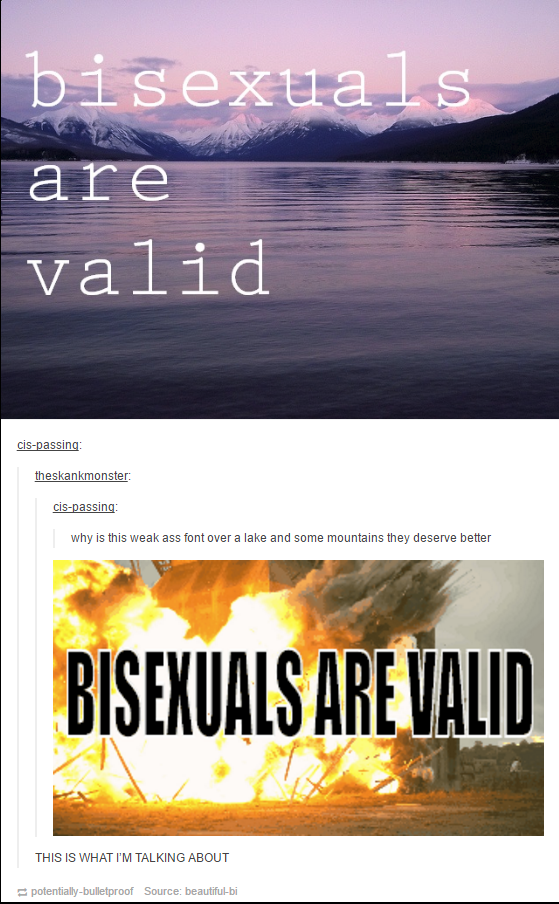 When there were two types of bisexual memes: