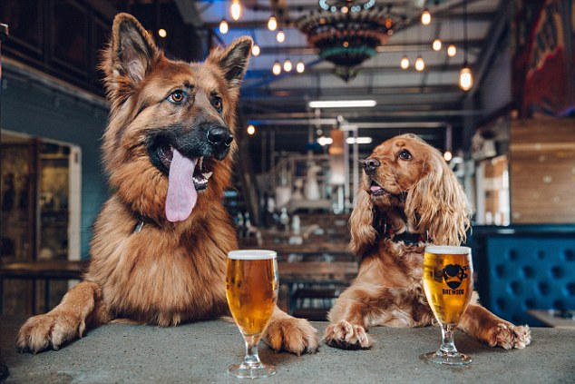 BrewDog, a Scottish brewing company which is opening its first US base next week, gives staff a week off if they get a new puppy 