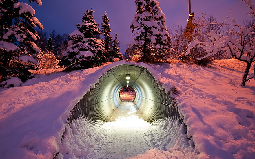 A Tunnel For Animals Under The Highway, Finland