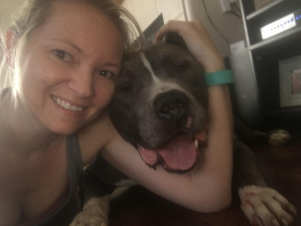 Rescued pit bull with his new owner