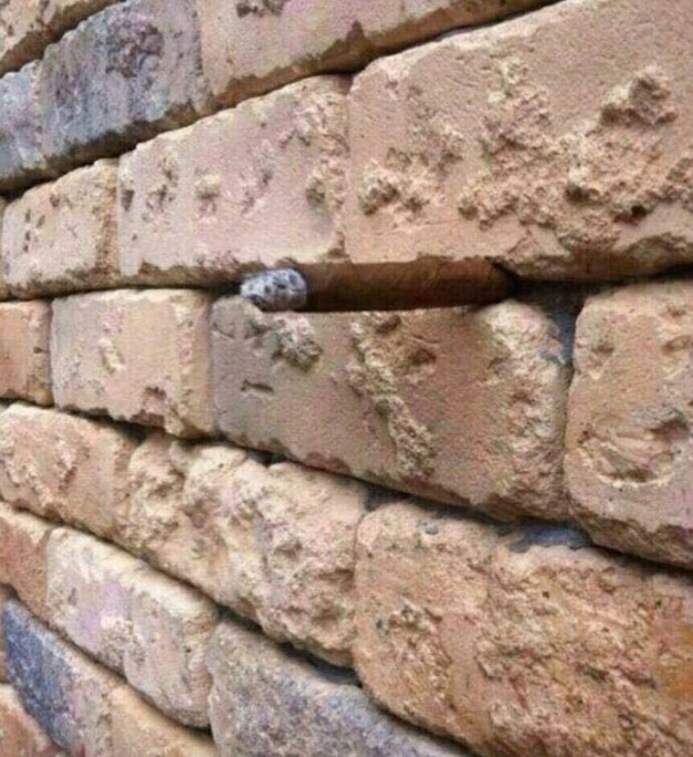 This wall...