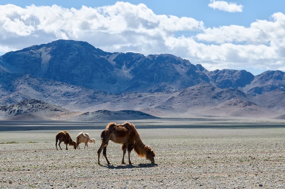 1635 mongolia 1041538 960 720 First Woman To Visit Every Country Reveals 10 Favourite Places