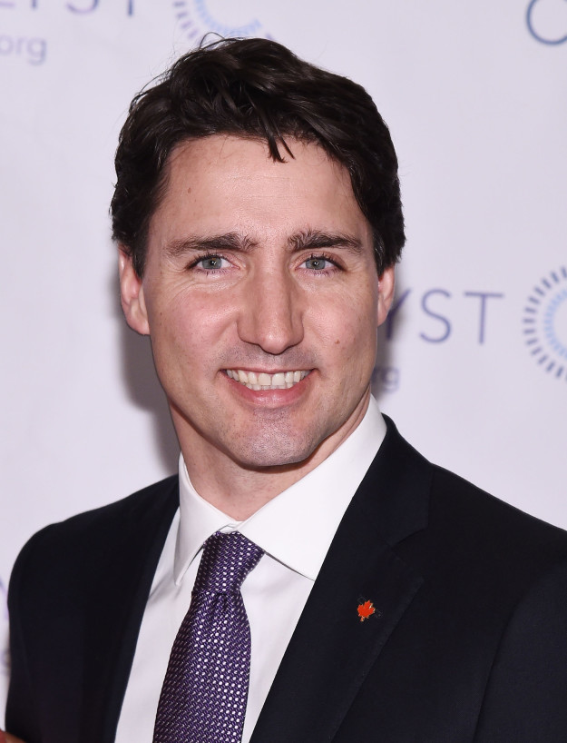 This is Canadian prime minister Justin Trudeau. As you can tell he's easy on the eyes, or in scientific terms, "hot."