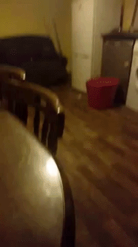 Chilling Video Shows House So Haunted It Was Evacuated By Police 183 giphy 18