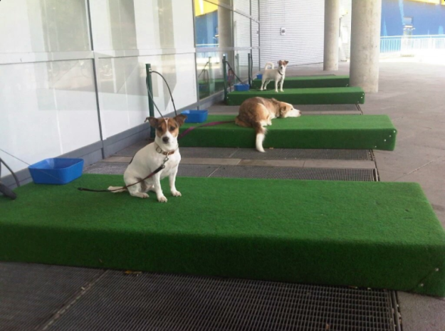 These "parking spaces" for dogs outside of an Ikea in Berlin.