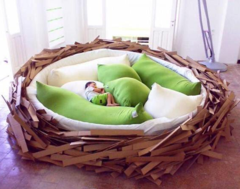 Get out of your bird’s nest bed, which allows you to wake up feeling like a beautiful crow each morning!