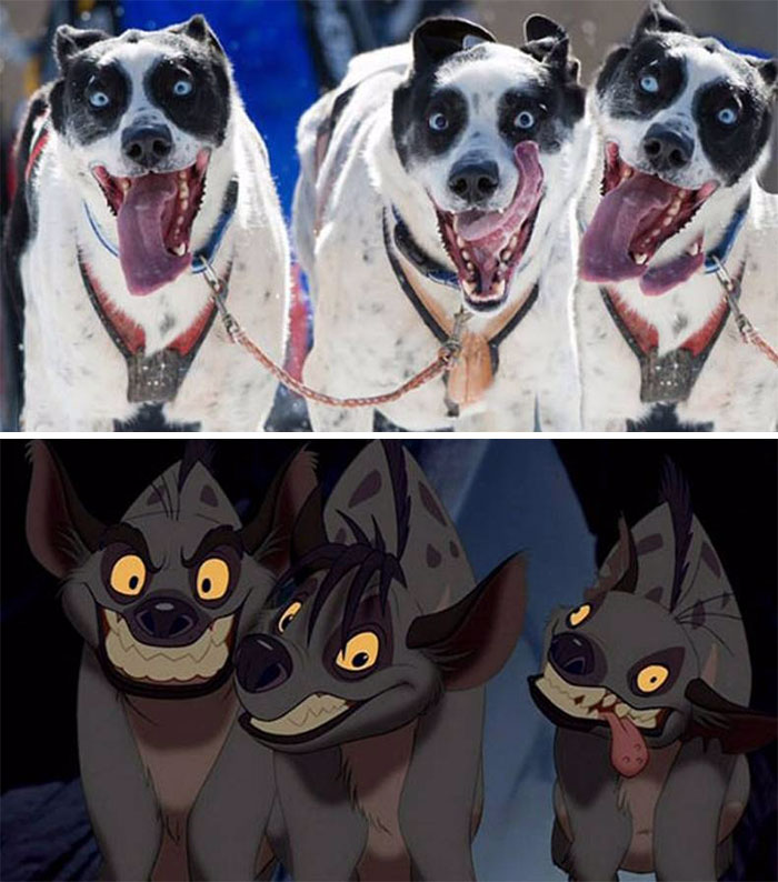These Hyperactive Dogs Look Like Shenzi, Banzai And Ed From Lion King