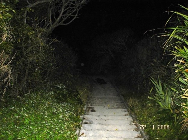 Or having to go down these steps, each step bringing you closer into total darkness: