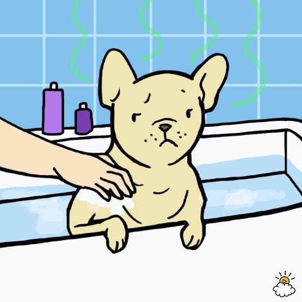 Smelly dog getting a bath