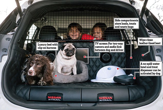 Fit for a king Charles spaniel: The luxury interior of the 4Dogs' boot