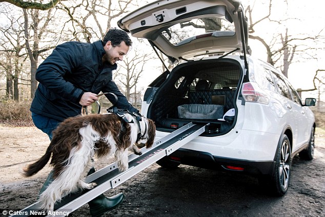 The handy ramp helps man's best friend into the car