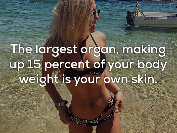 11 incredible facts about your skin you probably didnt know 11 photos 2 11 facts about your skin you would love to scratch (11 Photos)