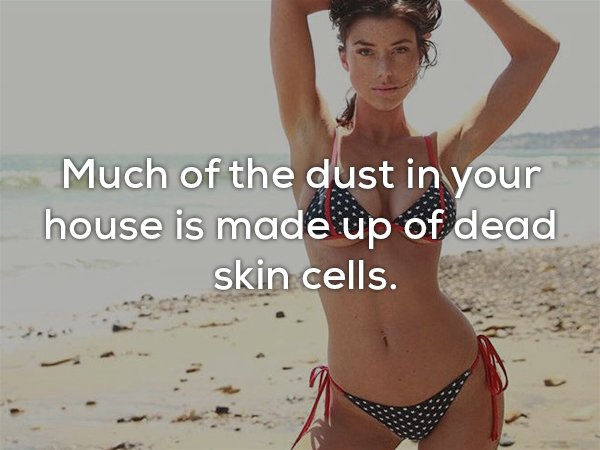 11 incredible facts about your skin you probably didnt know 11 photos 26 11 facts about your skin you would love to scratch (11 Photos)