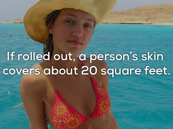 11 incredible facts about your skin you probably didnt know 11 photos 28 11 facts about your skin you would love to scratch (11 Photos)