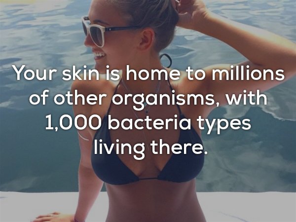 11 incredible facts about your skin you probably didnt know 11 photos 210 11 facts about your skin you would love to scratch (11 Photos)