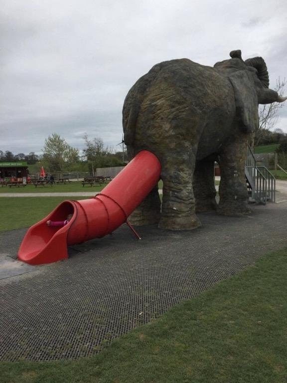 What could be more fun than sliding out of an elephant's butt?