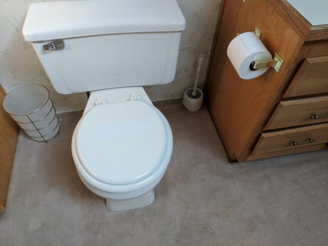 Good luck when your toilet gets clogged and overflows.