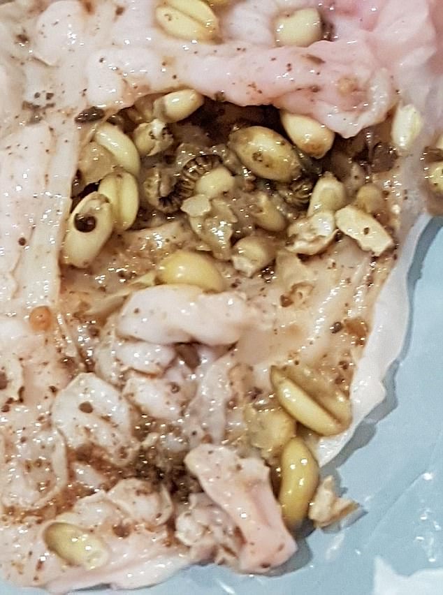 Ms Balanco posted a picture of the chicken filled with maggots and worms to Coles' Facebook page on Thursday (pictured), saying she has been deterred from buying meat at the supermarket chain again