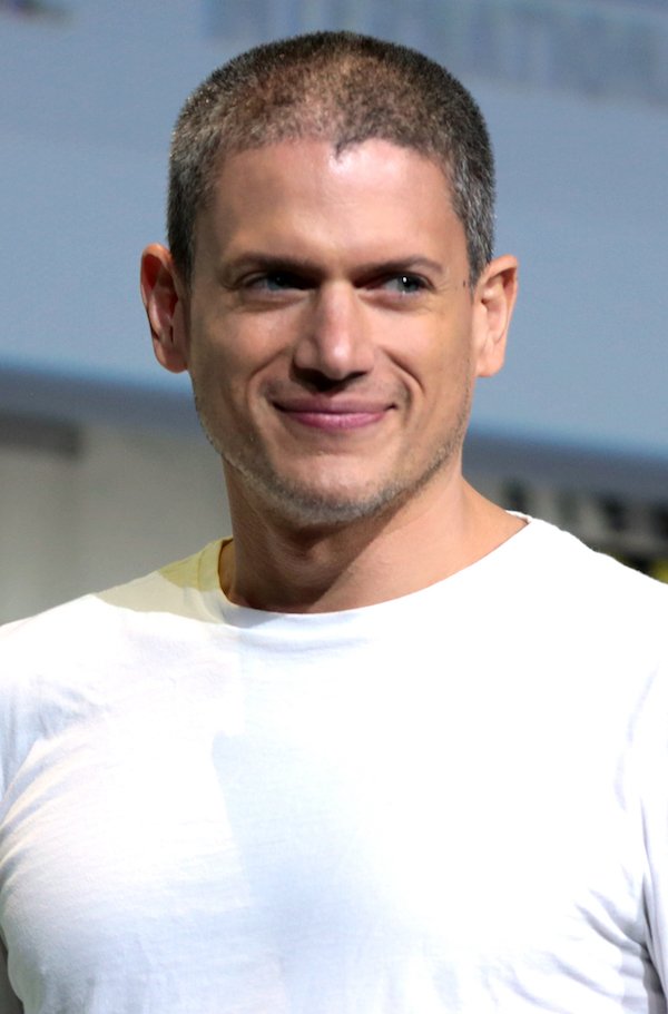 wentworth miller by gage skidmore Celebs open up about bouts with anxiety, and there are lessons to be learned (17 Photos)