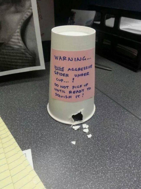 the workplace was made for pranks 31 photos 23 The workplace was made for pranks (31 Photos)