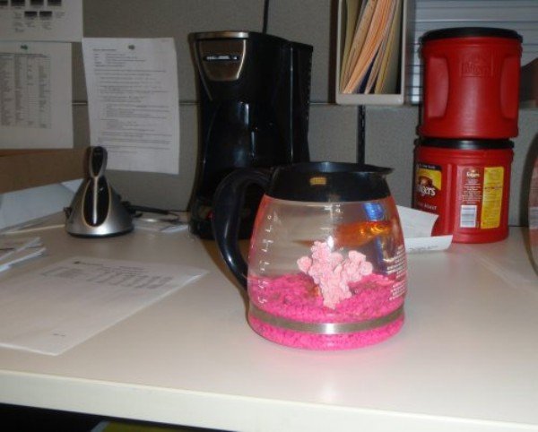 the workplace was made for pranks 31 photos 222 The workplace was made for pranks (31 Photos)