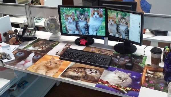 the workplace was made for pranks 31 photos 227 The workplace was made for pranks (31 Photos)