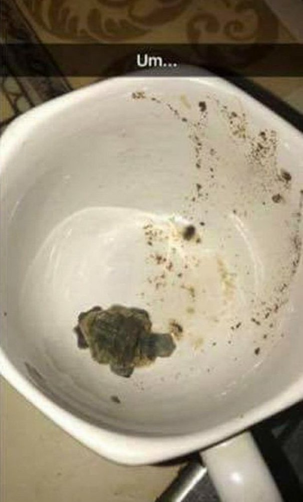 Teen Posts Sick Pictures Of Herself Microwaving Pet Turtle pri 40461169 e1495294035277
